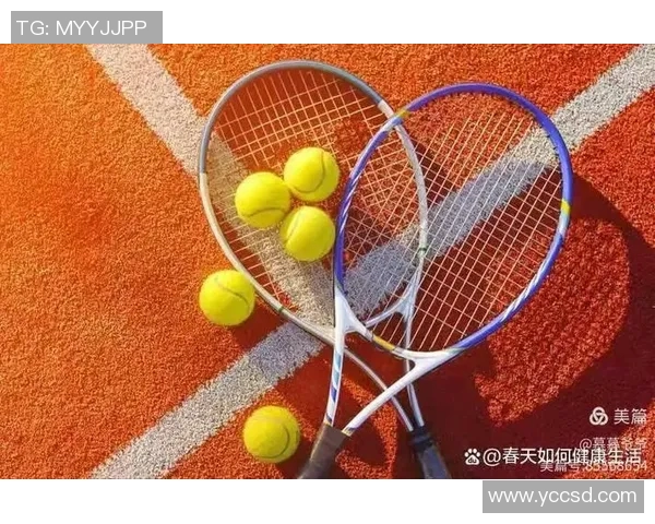 网球新手必看:全面掌握入门技巧与配合训练指南